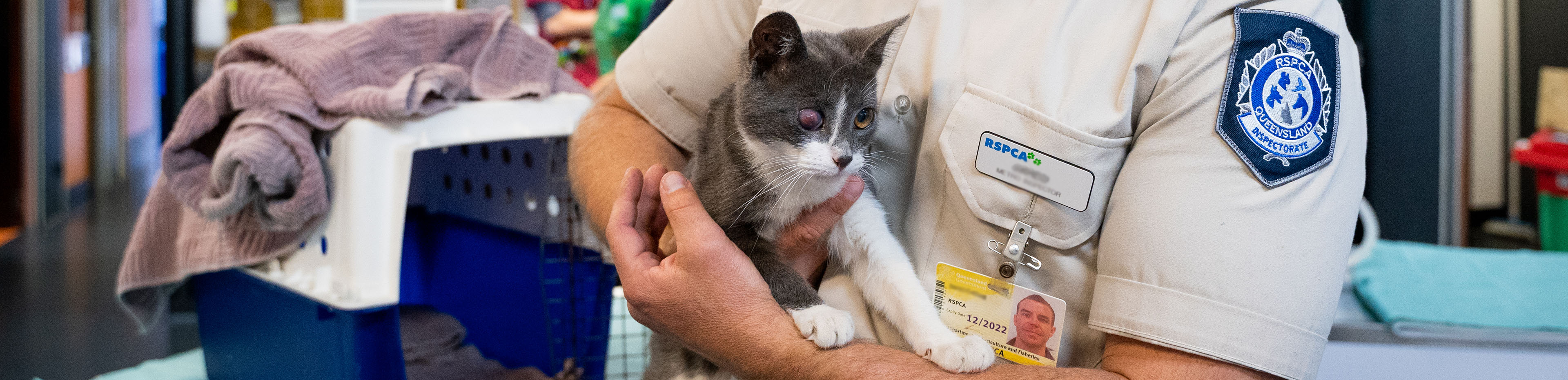 inspector holding maze the kitten